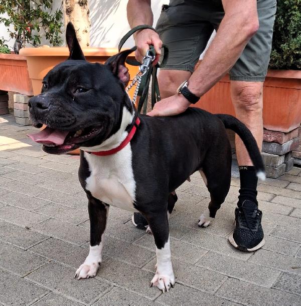 ZARA CERCA UNA FAMIGLIA Foto 7